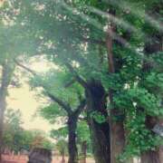 ヒメ日記 2026/05/28 13:42 投稿 きす♪(H) ぴぴすこ