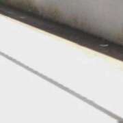 つばき 曇ってる？晴れてる?今日もあつい 渋谷じゃっくす