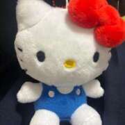 ヒメ日記 2026/04/29 16:00 投稿 りく 電車ごっこ