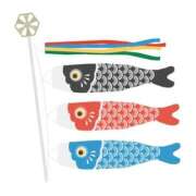 ヒメ日記 2026/04/30 21:50 投稿 りく 電車ごっこ