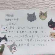 ヒメ日記 2026/05/31 07:50 投稿 りく 電車ごっこ