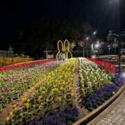 ヒメ日記 2026/05/21 21:44 投稿 ひまわり I❤HIMEJI（アイラブ姫路）