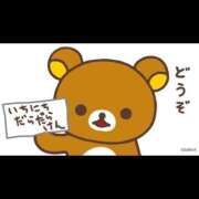 ひまわり 5/26❤ I❤HIMEJI（アイラブ姫路）