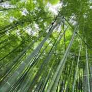 ヒメ日記 2026/05/08 10:48 投稿 松中ちえみ 東京不倫～とうきょうふりん～