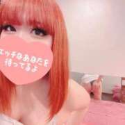 ヒメ日記 2026/05/08 17:02 投稿 ありん buzz-B