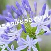 ヒメ日記 2026/05/18 19:16 投稿 なつみ ジュエルズ