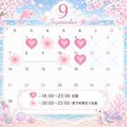 ヒメ日記 2026/09/01 08:39 投稿 うみ 西船巨乳ぽっちゃり　乳神さま