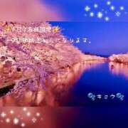 ヒメ日記 2026/05/15 18:09 投稿 キョウ 頂SPA -ITADAKI SPA
