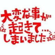 ヒメ日記 2026/09/07 12:17 投稿 りり 美女物語