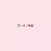 ヒメ日記 2026/04/28 12:17 投稿 桃乃木なこ 五反田ウルトラファンタジー