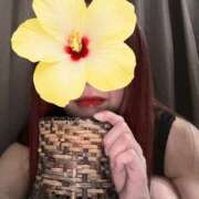 ヒメ日記 2026/05/13 12:08 投稿 ウメ AROMA GUILD 津田沼店
