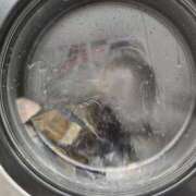 ヒメ日記 2026/04/28 03:15 投稿 白石（しらいし） 熟女の風俗最終章 大宮店