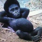 ヒメ日記 2026/05/01 03:26 投稿 白石（しらいし） 熟女の風俗最終章 大宮店