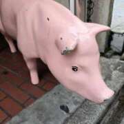 ヒメ日記 2026/07/08 21:05 投稿 白石（しらいし） 熟女の風俗最終章 大宮店