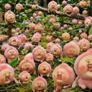 ヒメ日記 2026/08/12 20:55 投稿 白石（しらいし） 熟女の風俗最終章 大宮店