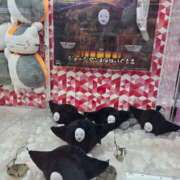 ヒメ日記 2026/09/17 22:15 投稿 白石（しらいし） 熟女の風俗最終章 大宮店