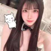 ヒメ日記 2026/04/28 21:17 投稿 ネコ MEGA PALACE(メガパレス）