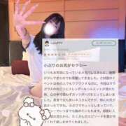 ヒメ日記 2026/04/29 20:53 投稿 ネコ MEGA PALACE(メガパレス）