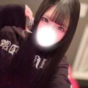 ネコ 🤍次回ご案内17:00〜🈳🤍 MEGA PALACE(メガパレス）