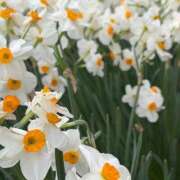ヒメ日記 2026/05/19 16:18 投稿 みのり クラブハート