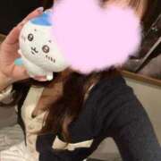 ヒメ日記 2026/04/30 11:30 投稿 るう 池袋しろパラ