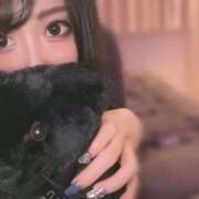 ヒメ日記 2026/08/29 08:35 投稿 アカリ 川崎美女革命
