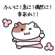 ヒメ日記 2026/05/22 23:02 投稿 かのん 激安ドットコム