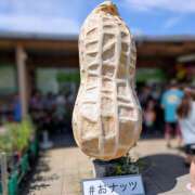 ヒメ日記 2026/05/07 23:44 投稿 山崎さとみ 五十路マダムエクスプレス横浜店（カサブランカグループ）