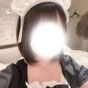 ヒメ日記 2026/04/26 14:07 投稿 さくら 秋葉原鑑賞ガール