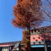 ヒメ日記 2026/05/19 18:35 投稿 ゆい One More 奥様 小岩店