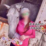 ヒメ日記 2026/05/20 20:31 投稿 なつき 千姫(道後)