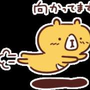 ヒメ日記 2026/05/01 11:23 投稿 今井 ゆりか La elf（ラ・エルフ）
