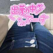ヒメ日記 2026/08/20 13:21 投稿 つむぎ One More奥様　厚木店