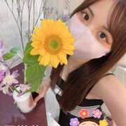 ヒメ日記 2026/08/31 22:46 投稿 河愛 居世菜 VECTRUS（ベクトラス）