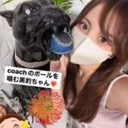 ヒメ日記 2026/09/12 17:53 投稿 河愛 居世菜 VECTRUS（ベクトラス）