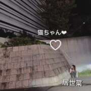 ヒメ日記 2026/09/29 19:45 投稿 河愛 居世菜 VECTRUS(ベクトラス)