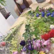 ヒメ日記 2026/09/30 13:23 投稿 河愛 居世菜 VECTRUS（ベクトラス）