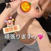 ヒメ日記 2026/10/15 18:59 投稿 河愛 居世菜 VECTRUS（ベクトラス）
