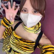 ヒメ日記 2026/10/24 10:45 投稿 河愛 居世菜 VECTRUS（ベクトラス）