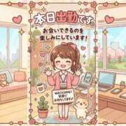 ヒメ日記 2026/05/08 11:19 投稿 えなこ　体験入店 脱がされたい人妻 町田・相模原店