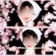 さつき この気持ち受け止めて…♡ ルピナス