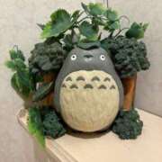 ヒメ日記 2026/06/12 07:55 投稿 わかな【Ｍ】 乱密