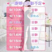 ヒメ日記 2026/09/10 08:16 投稿 にじみ ハピネス東京 吉原店
