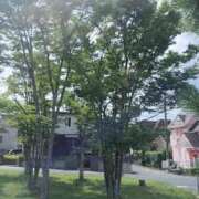 ヒメ日記 2026/08/30 09:59 投稿 なえ 熟女家 十三店