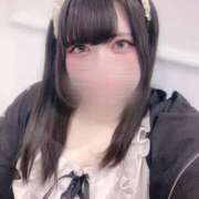 ヒメ日記 2026/05/20 17:48 投稿 なずな 白いぽっちゃりさん