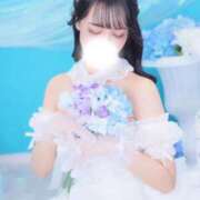 ヒメ日記 2026/08/09 14:47 投稿 和花（わか） NOA（ノア）