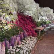 真木 ありがとうございました〜 変態美熟女お貸しします。