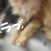 ヒメ日記 2026/05/15 16:22 投稿 さゆり sakura