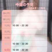 ヒメ日記 2026/07/01 08:12 投稿 さゆり sakura