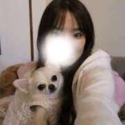 ほまれ 犬好きさん集まれ🐶 プレミアリーグ